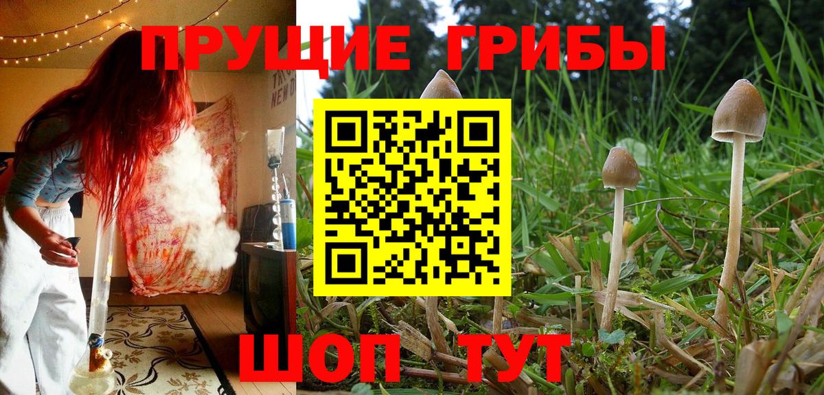 Псилоцибиновые грибы прущие грибы  Псилоцибиновые грибы мицелий  Вход с VPN  Елец 